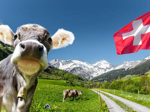 Schweiz Urlaub