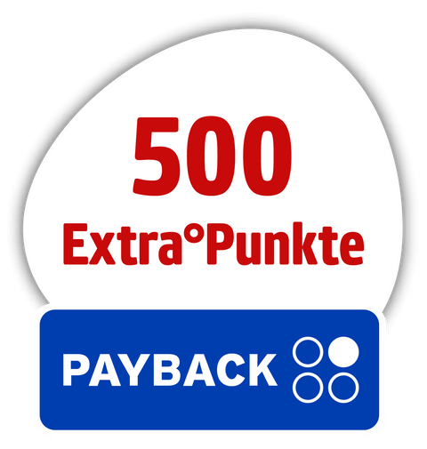 Reise_PAYBACK-500Stoerer-Netto-MK