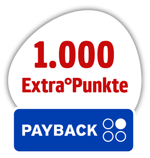 Reise_PAYBACK-1000Stoerer-Netto-MK