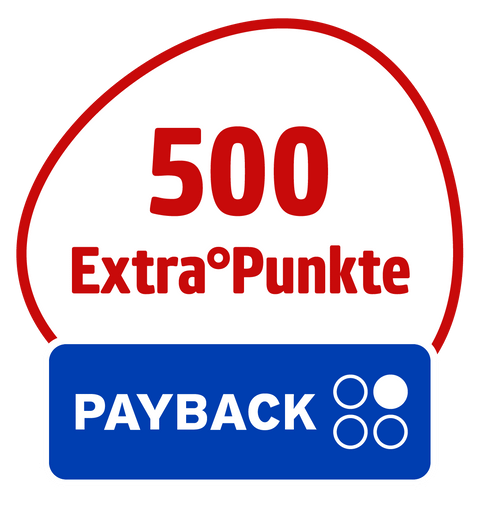 Reise_PAYBACK-500Stoerer-Netto-MK