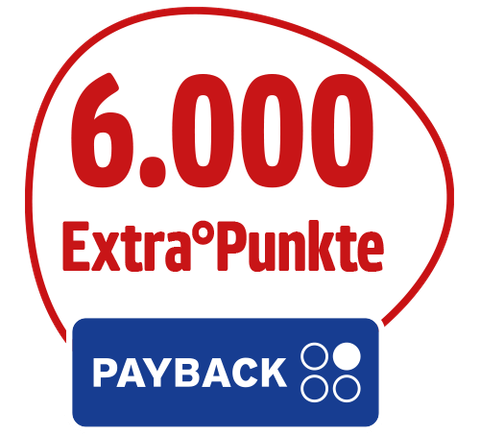 Reise_PAYBACK-6000Stoerer-Netto-MK