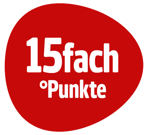 Reise_PAYBACK-15fach-Netto-MK
