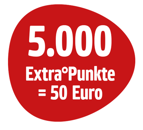 Reise_PAYBACK-5000Stoerer-Netto-MK