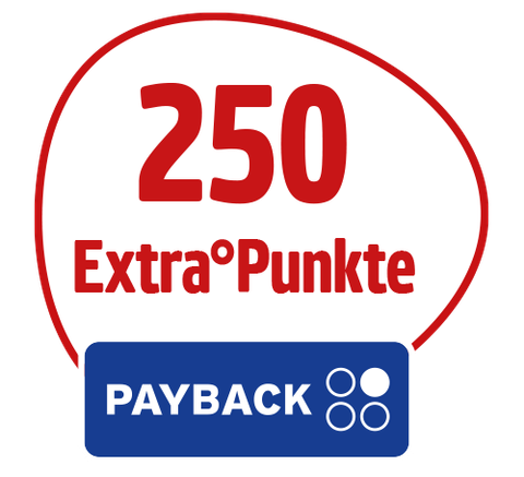 Reise_PAYBACK-250Stoerer-Netto-MK
