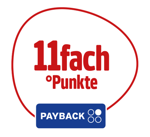 Reise_PAYBACK-11fach-Netto-MK